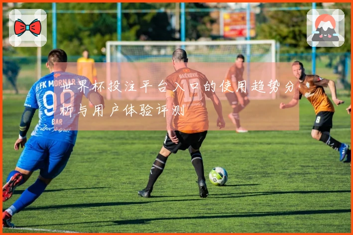 世界杯投注平台入口的使用趋势分析与用户体验评测
