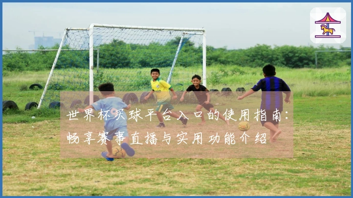 世界杯买球平台入口的使用指南：畅享赛事直播与实用功能介绍
