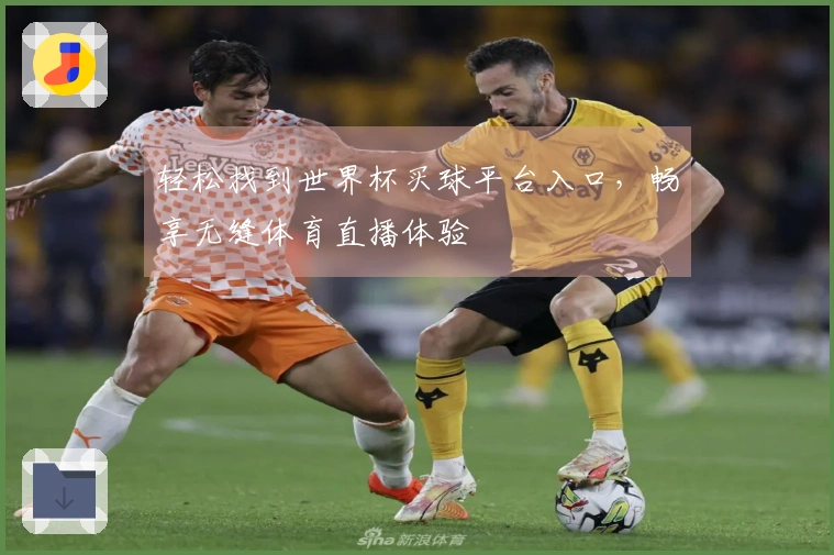 轻松找到世界杯买球平台入口，畅享无缝体育直播体验