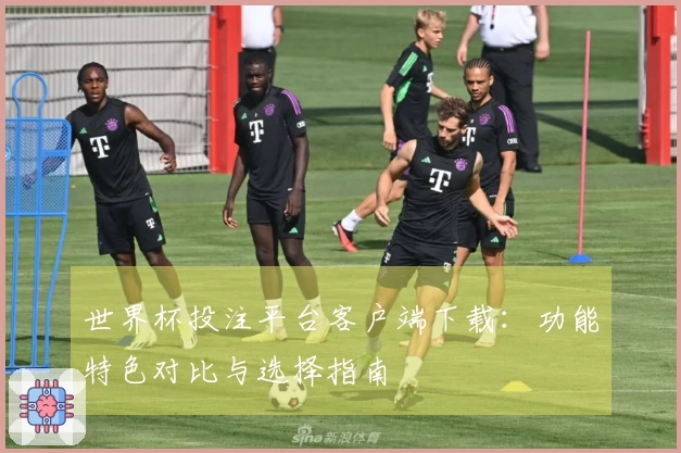 世界杯投注平台客户端下载:功能特色对比与选择指南