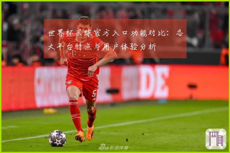 世界杯买球官方入口功能对比：各大平台特点与用户体验分析