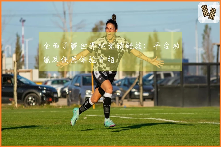 全面了解世界杯竞猜链接：平台功能及使用体验介绍