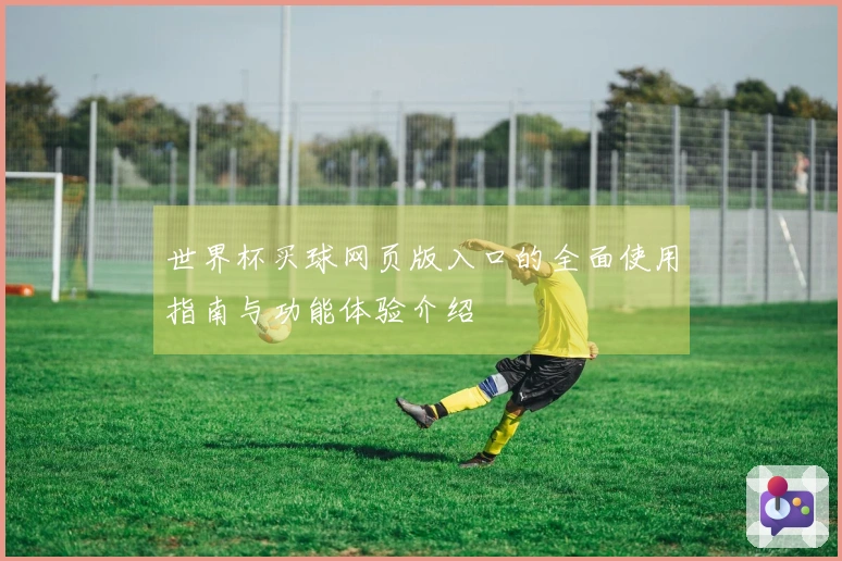 世界杯买球网页版入口的全面使用指南与功能体验介绍