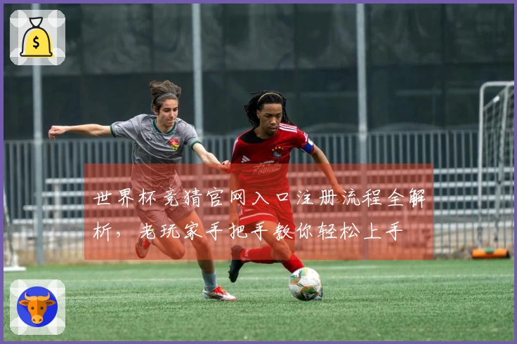 世界杯竞猜官网入口注册流程全解析,老玩家手把手教你轻松上手