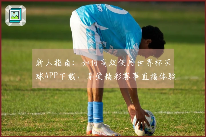 新人指南:如何高效使用世界杯买球APP下载,享受精彩赛事直播体验
