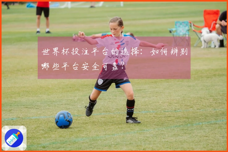 世界杯投注平台的选择：如何辨别哪些平台安全可靠？