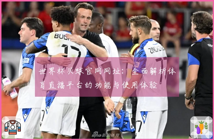 世界杯买球官网网址：全面解析体育直播平台的功能与使用体验