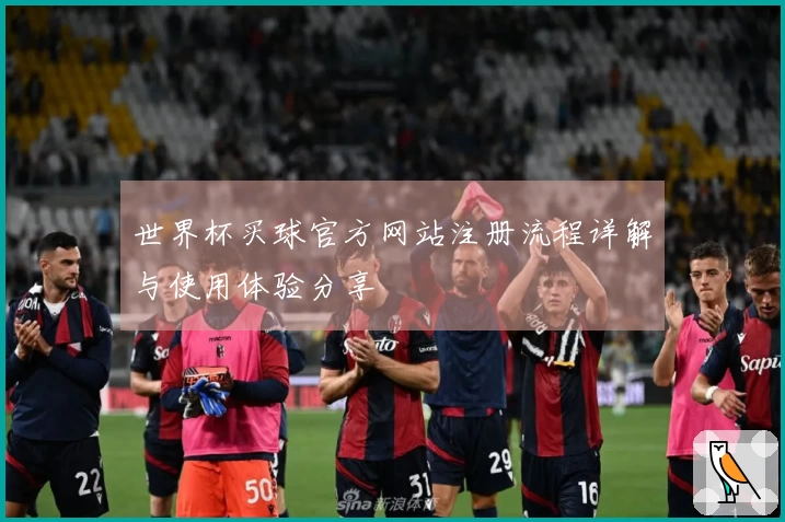 世界杯买球官方网站注册流程详解与使用体验分享