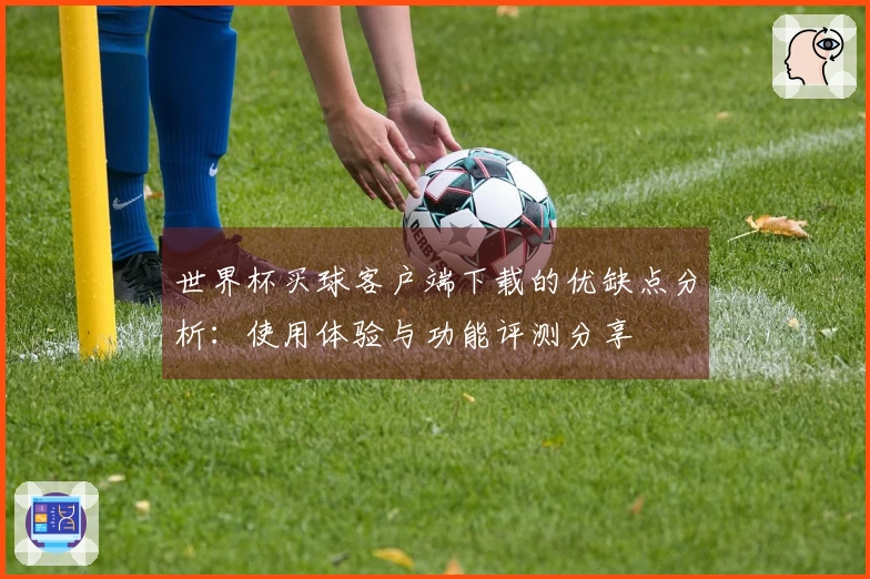 世界杯买球客户端下载的优缺点分析：使用体验与功能评测分享