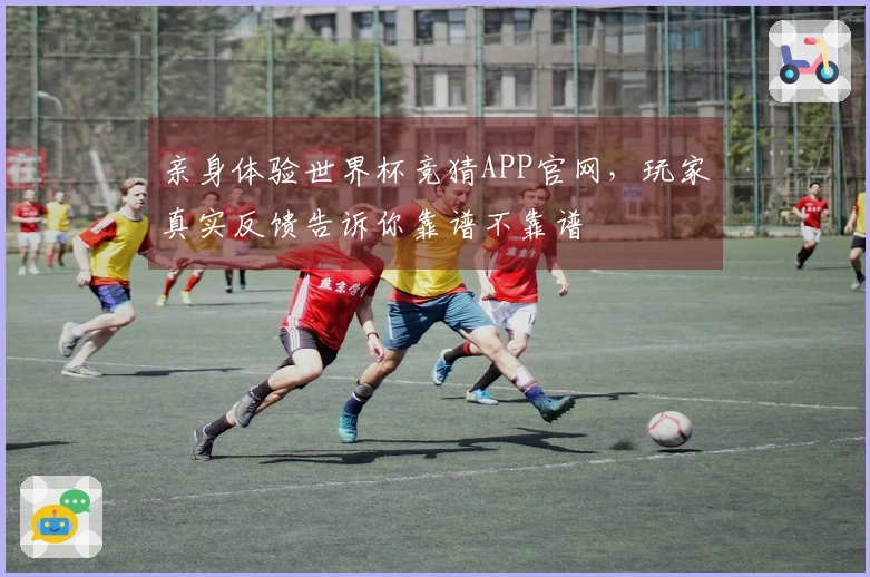 亲身体验世界杯竞猜APP官网，玩家真实反馈告诉你靠谱不靠谱