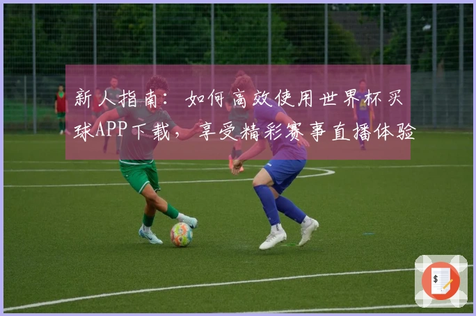 新人指南：如何高效使用世界杯买球APP下载，享受精彩赛事直播体验