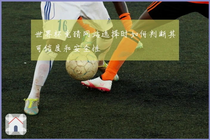 世界杯竞猜网站选择时如何判断其可信度和安全性