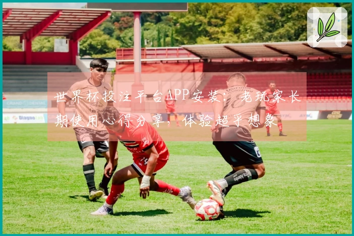 世界杯投注平台APP安装:老玩家长期使用心得分享,体验超乎想象