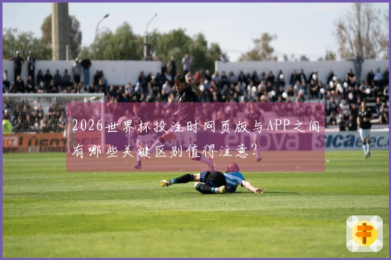 2026世界杯投注时网页版与APP之间有哪些关键区别值得注意？