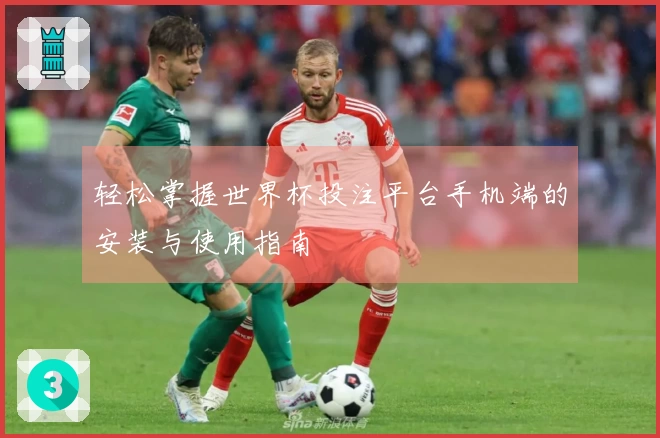 轻松掌握世界杯投注平台手机端的安装与使用指南