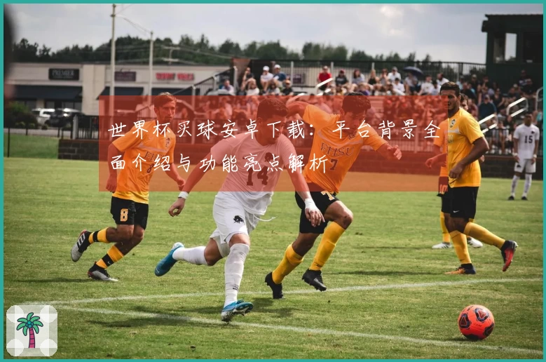 世界杯买球安卓下载:平台背景全面介绍与功能亮点解析